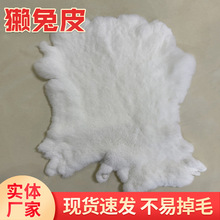 厂家批发冬季獭兔皮整张装饰用家兔皮成品皮草原料整张兔毛熟皮