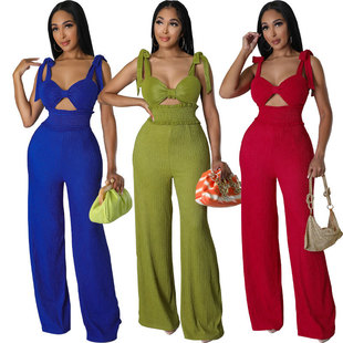 8669�W��Ů�b�B�wѝ2023ѝ���ļ��¿�o���B��ѝ���e�r�����Q���l