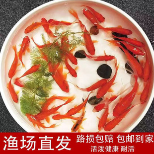 �t���~�Lβ���\���~���^�p�~��ˮ�~��ˮ�~���B�ͻ�С���~