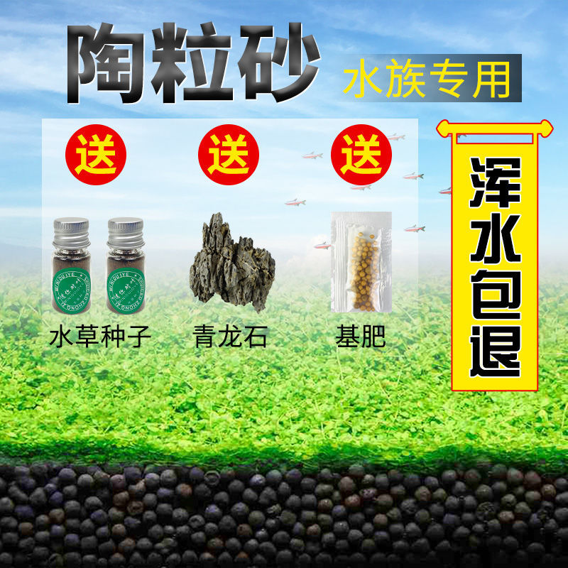 嘘援娉ユ壒鍙戙€愪笉舞枃丸瀀耣ャ€戦櫠绮掔戞枸shoulder a few搴琴爞更曟曟曘昘棌绠 argue