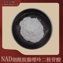 NAD99%߼ʶƷ|ɿfF؛100g/NAD+