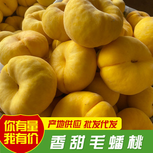 Гуанминг теперь отправляет позитивный Yimeng Golden Mao Tao Peach, сезонная фруктовая SF Free Box оснащена свежими персиками