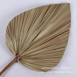 �ѿ��~��ɫ��ɫ�����~�ؙ��~�ɻ����������l�҃�ܛ�b��Y�������