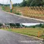 园林公园市政庭院护栏