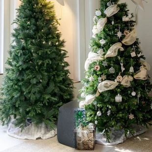 ����}�Q����������ɼ�҃�Ų���}�Q�����������ɘ�Gֲ�Zؐ