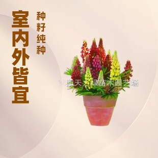 �������N�Ѷ������޸��ͺ������҃���ͥԺ�ļ����N�_�����ȶ��N��