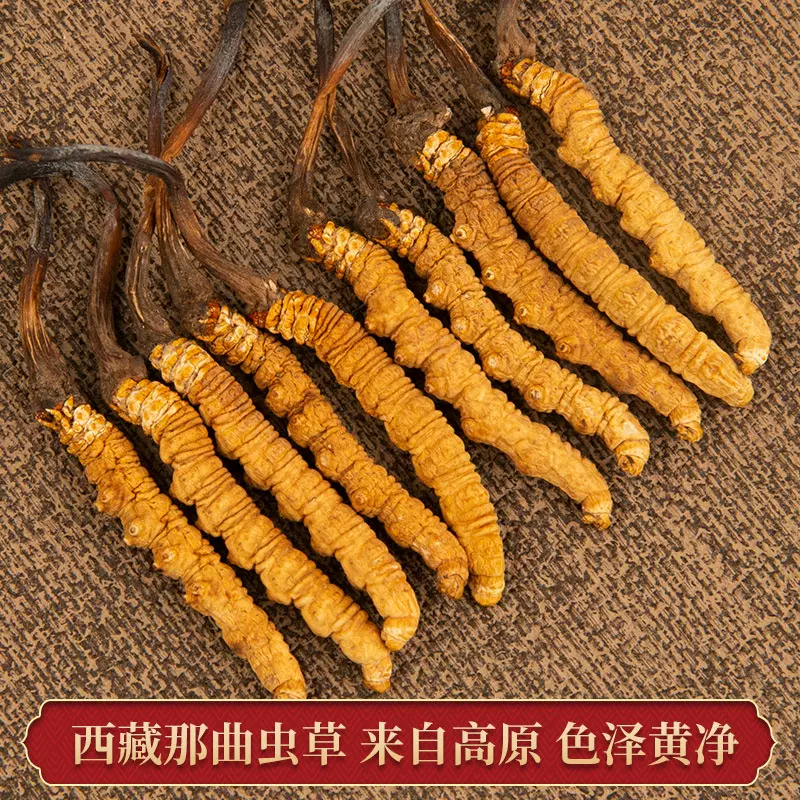 西藏那曲冬虫夏草干货厂家货源可多规格虫草礼盒装足干