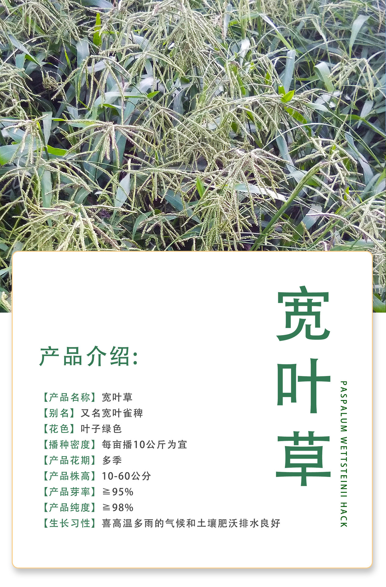 O1CN01Zx0Tcb1quhERerqS3_!!2211