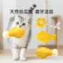 磨牙训练丝瓜络幼猫玩具