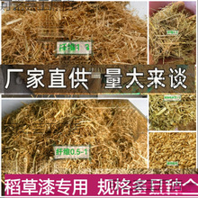 �ɵ����w�Sˮ���ն��Ž��B�۠��b��鵾�ݾG�������ൾ������]�r