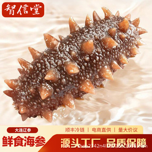 ���ڴ��B��ʳ�����_����ʳ500g�������b������r���|�|�̅����l