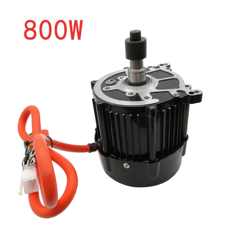 Xinzhicheng 48-60 800w 모터