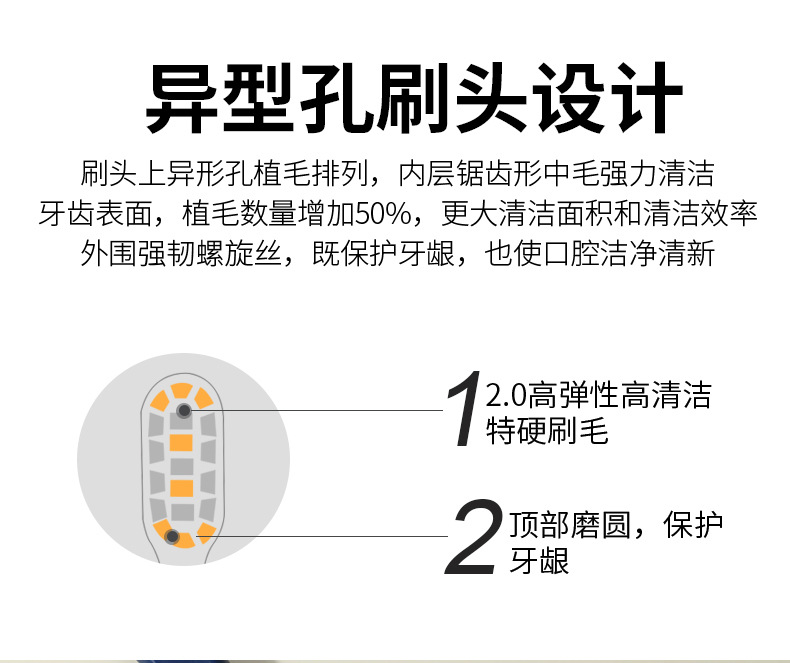 气质特硬刷毛牙刷详情页_05.jpg