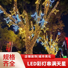 LED防水星星透明线户外工程景观亮化装饰灯彩闪灯挂树灯灯串缠树