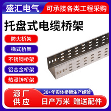 托盘式电缆桥架厂房工程电线电缆布线桥架梯式槽式电缆桥架供应