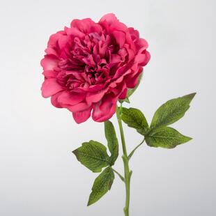 �ָ�ĵ�����滨 �Wʽ��c�û��zӰ���߱���ĵ���b�Ʒ��ș�羳��