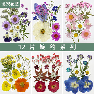 Dried Flower Material Package Plant Specimen Embossed Flower Sticker Aromatherapy Embossed Candle Glue Photo Frame DIY Petal Real Flower Bag