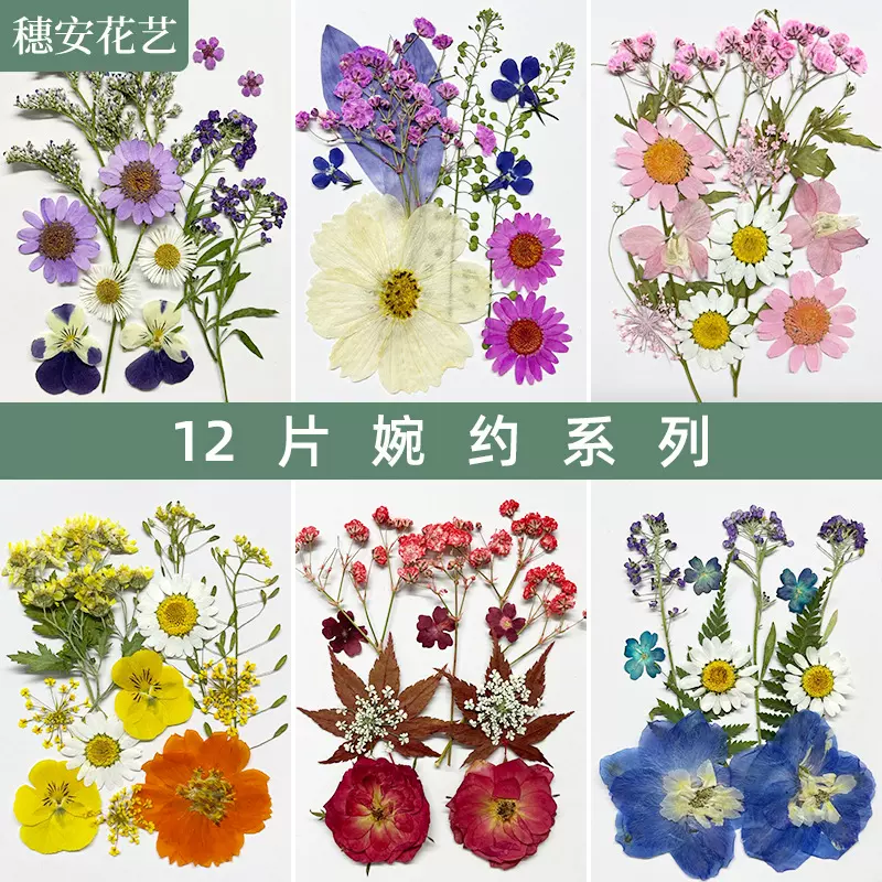 干花材料包植物标本押花贴画香薰压花蜡烛滴胶相框diy花瓣真花包