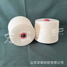 批发涡流纺莱赛尔纱线 莱赛尔竹节纱 比赛得利原料 莱赛尔棉纱线