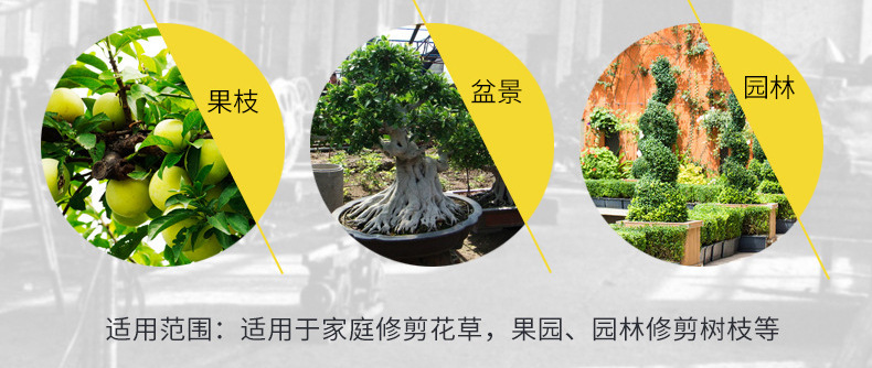 h2uTiviiztSHn2aJjQ1VWrJ+OeSZoZhppV9Z