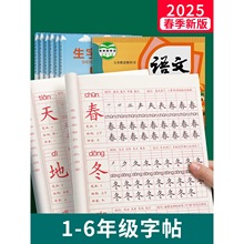 一年级二年级三小学生练字帖四五六字帖上册下册每日一练笔画笔顺