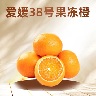 ����8̖���������r���Ӯ���ˮ�������Ĵ�������۽۴��һ�����l