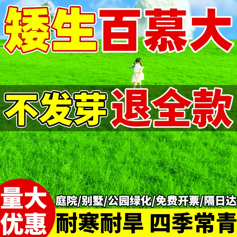 Бермудские семена травы