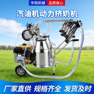 �������͙C�����D�̙C ��늃���ţ��D���� �����Bֳ�ƄӔD���O��