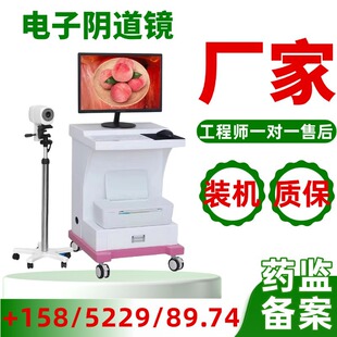 �t�Ô��a���ꎵ��R�r��S��/500�f����/�r��/���܅���/�D