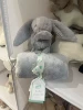 Shy silver rabbit, soothing towel