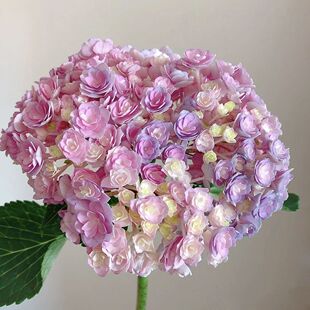 �ذ꽑���r��ˮ�B�o�M�Ľ�����ϻ��جF��ֱ�l���û���