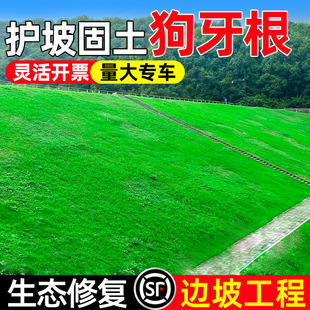 ���������Ѳ�ƺ�N�ӎ���Ó�������ļ������ͺ��͟�G���o�¹���