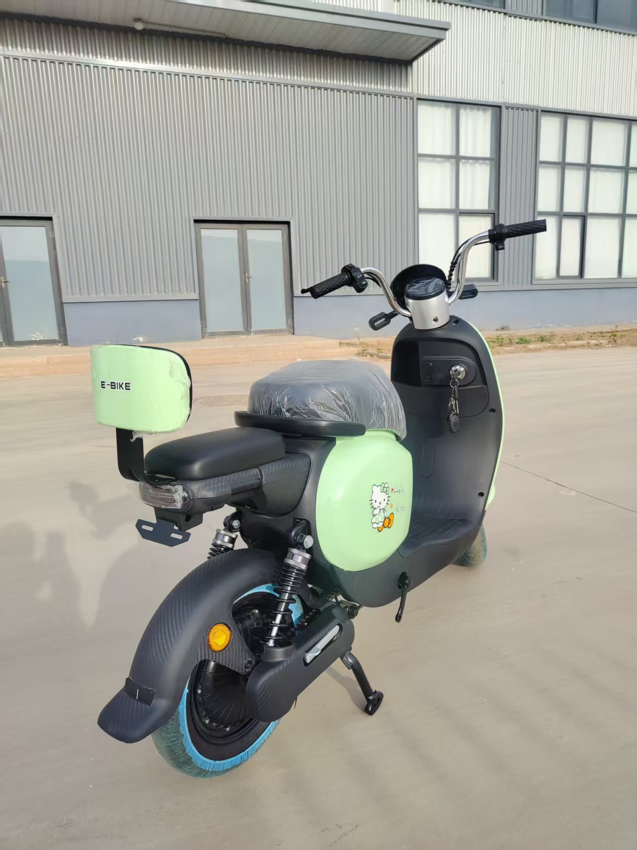 Little Golden Turtle Series New Model Two-Wheeled Electric Vehicle, Export Standard Electric Motorcycle, Adult Motorcycle Wholesale