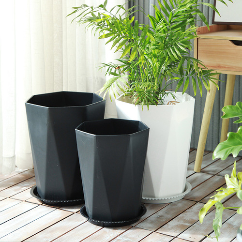 Household flower pot large living room simple plastic thickened potted plant money tree dragon blood tree bird of paradise large diameter flower pot