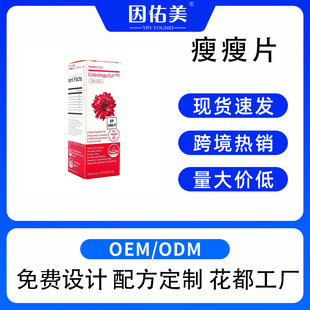 �羳ë������ֲ��������Ƭ60����tk���R�d���uOEM�N�ƶ��ƴ�