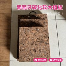 ܛľ̼����¹��ާ��� ʯ������̼���ϰ�ֲ���ֲܛľ��ܛľ����