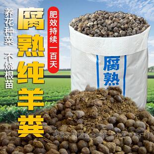 ��S�l���ЙC����Ȼ�N���ܹ��߲˻���׷�ʟo��ζ����S�w��������