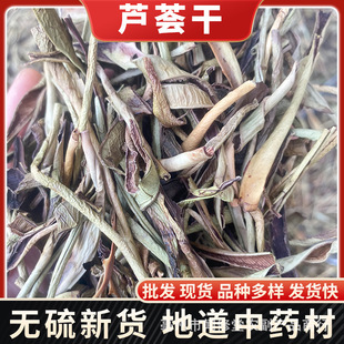 �J�C����ș��Milled aleo vera leaf powder�J�C�J�C����J�C�R��