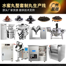 全自动小蜜丸大蜜丸整套制丸生产线中药丸抛光滚圆烘干整条生产线