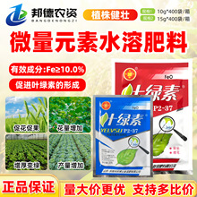 rʿ~Gؿ~ʷSϾ²˿ñșG~ͨ