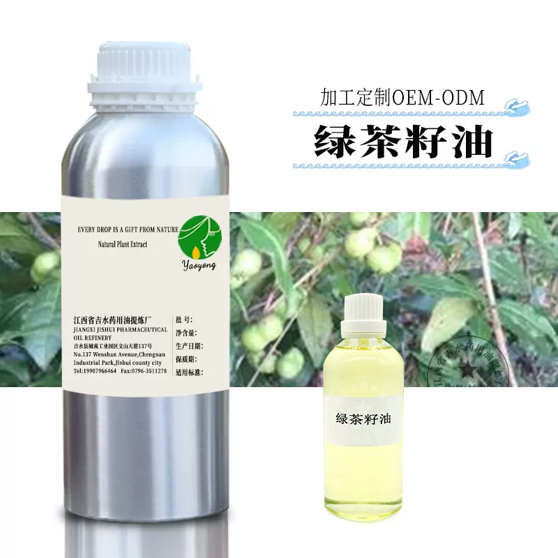 批发精炼绿茶籽油 绿茶油 基础油原料 植物原料