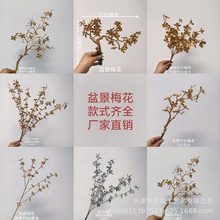 仿真花梅花跨境新款花材年宵花福桶配件材料配件金色花材永生花