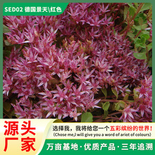 �������ļ��׷N���羰�^�@���̨����ͥԺ�����ͺ��ͺ��޸�����