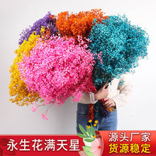 �M���Ǹɻ�Ưɫ�������滨���ֱ�l��������Ȼ�L�͏d�����[���b�