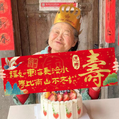 老人过寿生日条幅氛围感拍照背景墙寿宴手持横幅装饰道具