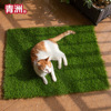 Tsing Chau simulation Pets Lawn courtyard leisure time Scenery Fraud Lawn outdoors Lawn mat Mat