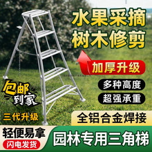 �X�Ͻ��������ӈ@�֌������_��ˮ���@��ժ��ľ�޼���֦�@ˇ������