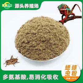 动物性饲料;观赏鱼饲料;筛选设备