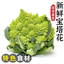 �����������r�������߲��_�R��Ҭ�����;Ƙ����ɫʳ�Ď��~��