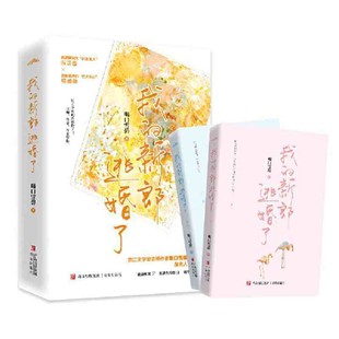 Sweet and Refreshing Novel Book My Groom Ran Away from the Wedding, 2 Volumes in Total